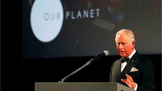 UK Royals Attend A Netflix Premiere