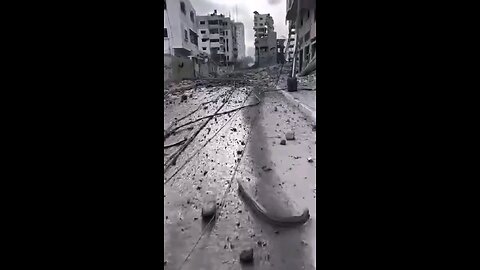 Al-Wahda Street in the Gaza Strip, burned out by Israeli bombs.