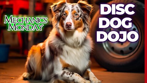 Pedestal & Flow Mechanics: DiscDog Gameplay | Mechanics Monday #98 at DiscDog Dojo 🐶🥏🛠️