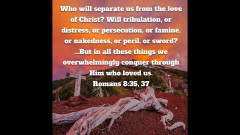 July 9 Devotional - What does it mean that you will face perils? - Tiffany Root & Kirk VandeGuchte