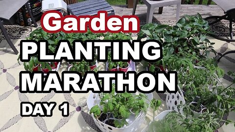 My Kitchen Garden Planting Marathon | Southwestern Ontario | June 2024 DAY 1 #backyardgardening