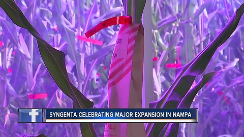 Syngenta celebrating major expansion in Nampa