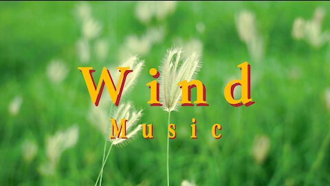 Wind Background Music