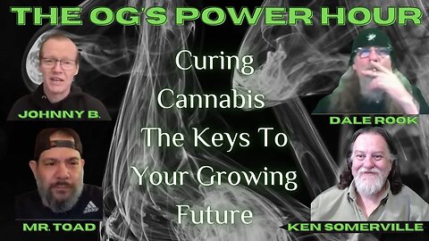 Curing Cannabis The Keys To Your Growing Future