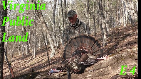 Turkey Hunting Public Land Gobblers in Virginia