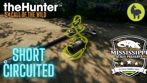 The Hunter: Call of the Wild, Short Circuited, Mississippi Acres (PS5 4K)