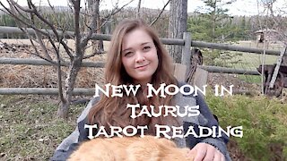 Sagittarius - New Moon in Taurus