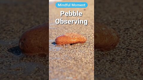 Mindful Pebble Observing: Discovering Beauty in the Small 🪨