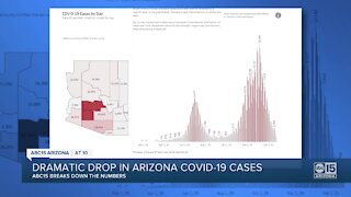 Arizona reports under 1,000 new daily COVID-19 cases for first time since November