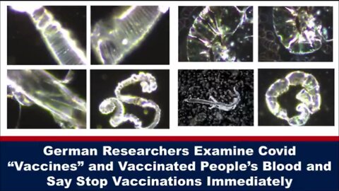 German Researchers Examine Covid Vax And Vaccinated People’S Blood And Say Stop Vaccinations