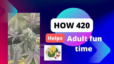 how 420 n fun time work 18 plus