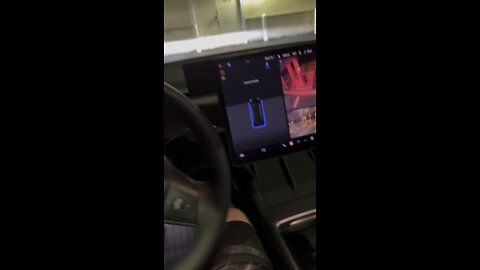 Tesla Autopark SUCKS!