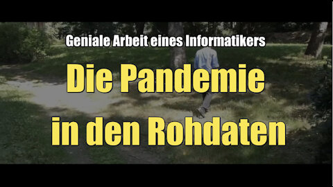 Die Pandemie in den Rohdaten (Marcel Barz I 11.08.2021)