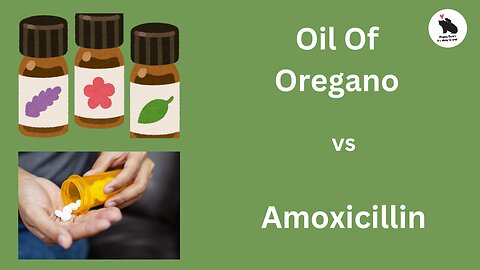 Oil Of Oregano vs Amoxycillin