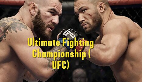 The Ultimate Fighting Championship (UFC)