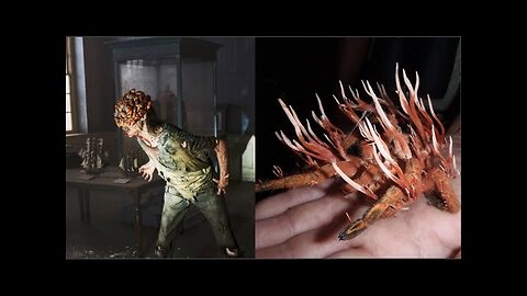 SHARE THIS! THE ZOMBIE FUNGUS! A SPIKY FUNGUS THAT CAN CONTROL AND DEVOUR ITS HOST FROM WITHIN!