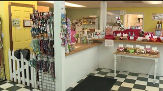 North Ridgeville pet food store, Grateful Dog Bakery, open amid stay at home order