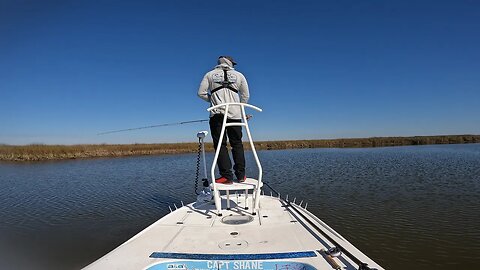 Can I Catch Redfish on the Fly After the Arctic Blast of 2022?