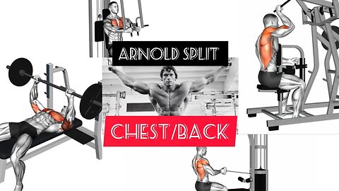 ARNOLD SPLIT:CHEST/BACK(GYM)