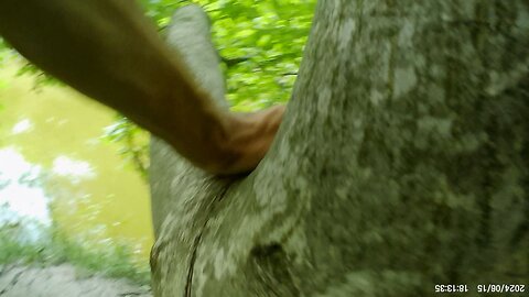 Walnut Climbing, 15.06.2024 [A]