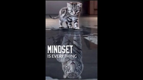 #390 MINDSET IS EVERYTHNG LIVE FROM THE PROC 07.01.22