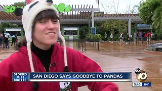 San Diego says goodbye to pandas