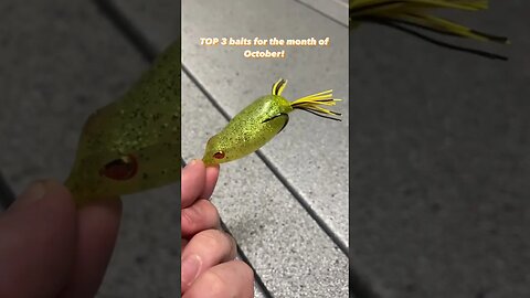 TOP 3 Baits for October Bass Fishing