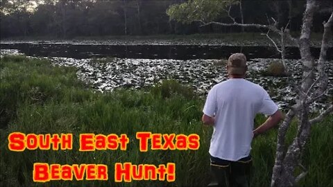 South East Texas BEAVER Hunt!