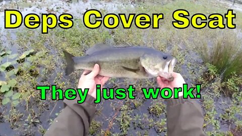 Deps Cover Scat at Krusher Pond 2021