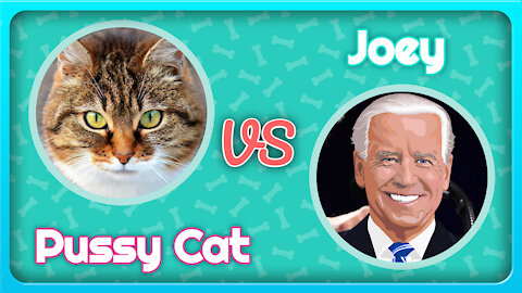 Cat Speaking Better Than Joe Biden