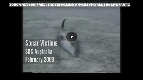 SONOR AND (5G) FREQUENCY IS KILLING WHALES AND ALL SEA LIFE PART 2