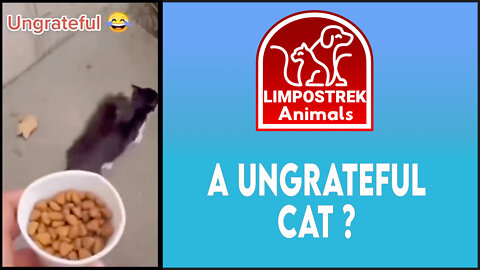 A ungrateful cat?