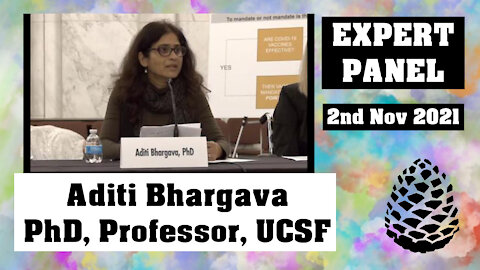 Aditi Bhargava PhD, Professor, UCSF (Expert Panel on Federal Vaccine Mandates) Pinecone