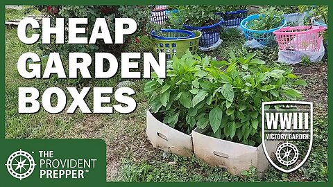 WWIII Victory Garden: Cheap Garden Container Ideas by Kris at Citygirl Homestead