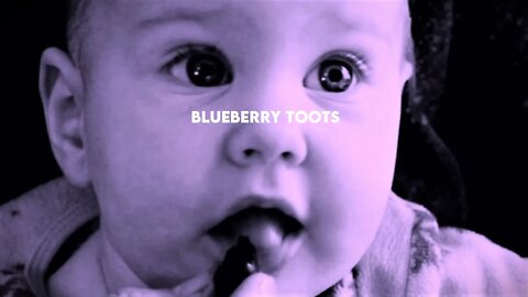 Blueberry Toots #shorts #shortsfeed #short #shortsvideo short