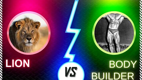 Lion king for a reason. Lion Vs Bodybuilder epic competition