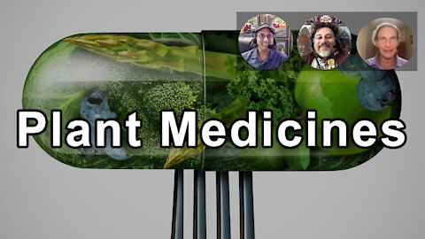 Looking At Ways To Take Plant Medicines Further - David Wolfe, Gabriel Cousens, Sunil Pai