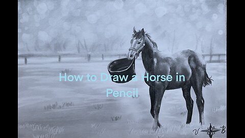 How to Draw a Horse in Pencil