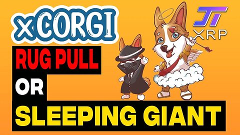 XCorgi Rug Pull or Sleeping Giant?