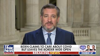 Sen. Ted Cruz: Biden 'does not care' that illegal immigrants are carrying COVID