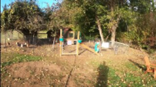 Whimsical Chicken Coop gets Windows