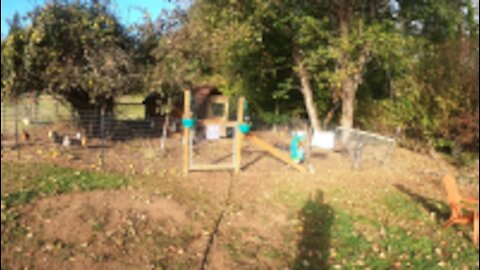 Whimsical Chicken Coop gets Windows