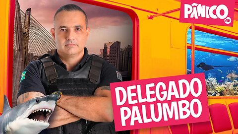 DELEGADO PALUMBO - PÂNICO - 07/11/22