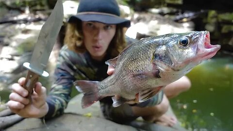 Solo Survival (NO FOOD NO WATER) Overnight BASS Catch & Cook AUSTRALIA! (Uninhabited Rainforest)