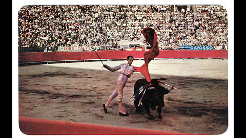 Bullfighting in Mexico City: A Controversial Comeback