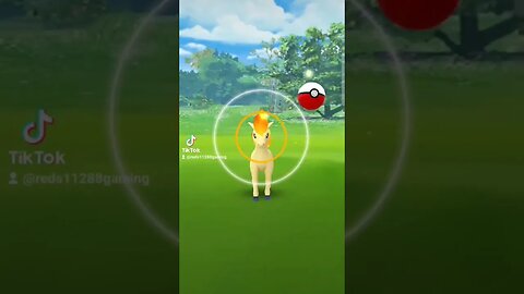 #pokemon #Pokémon #pokémon #pokemongo #pokémongo