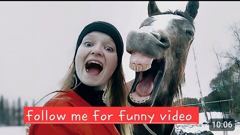 Animals funny video🤣