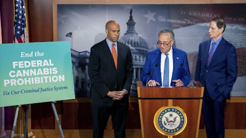 Democrats Want To End Federal Marijuana Ban