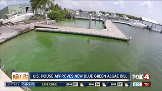 U.S. House approves new blue green algae bill