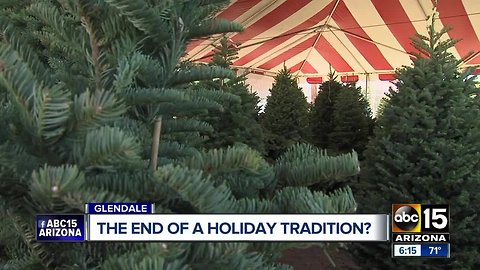 Could online Christmas tree sales impact local companies?